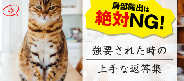 局部露出は絶対NG!強要された時の上手な返答集! 局部露出は絶対NG!強要された時の上手な返答集!